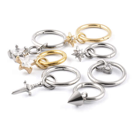 Surgical Steel Segment ring with Charm
