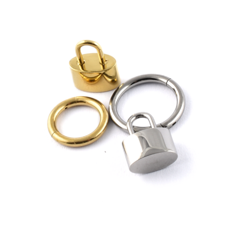 Titanium Hinged Segment Ring with Padlock Charm