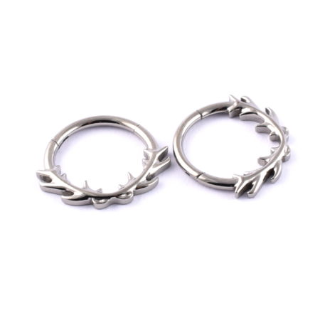 Titanium Hinged Bramble Segment Ring