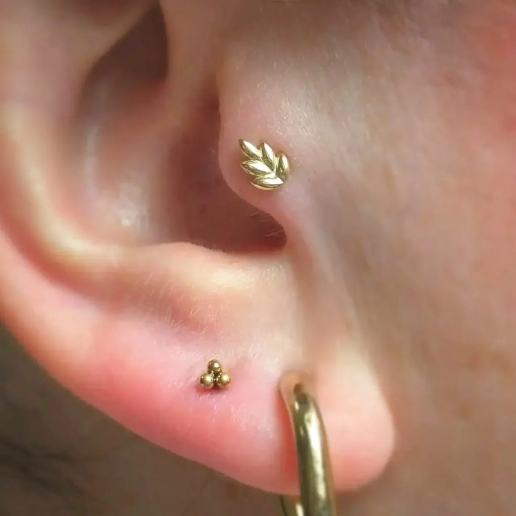 Titanium labret with fern leaf